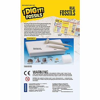 I Dig It! Fossils - Real Fossils Excavation Kit