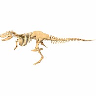 Giant Dinosaur Skeleton Kit