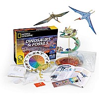 Dinosaurs & Fossils