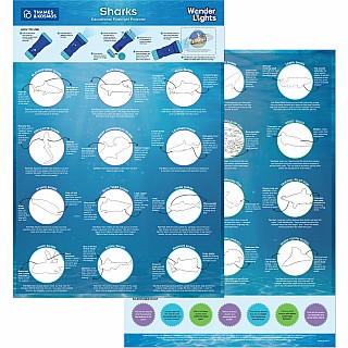 Wonder Lights: Sharks - Educational Flashlight Projector