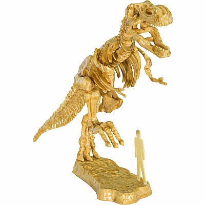 I Dig It! Dinos - 3D T. Rex Excavation Kit