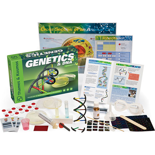 Thames and Kosmos 665002 Biology Genetics and DNA Experiment Kit 