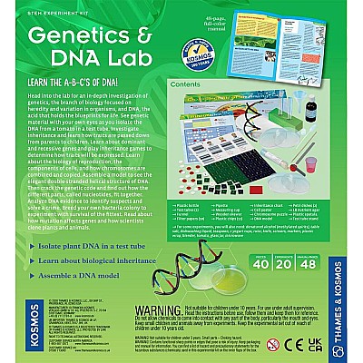 Genetics  Dna Lab
