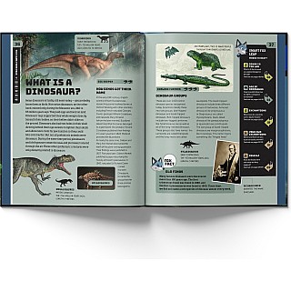 Smart Fox: Dinosaurs
