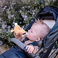 Tara the Duck Tag Along Pram Toy