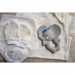 Alvin The Elephant - Natural Rubber Teether