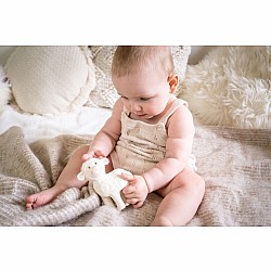 Bahbah The Lamb Natural Organic Teether, Rattle & Bath Toy