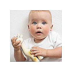 Giraffe Natural Organic Rubber Teether, Rattle & Bath Toy 