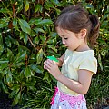 Mini Bug Spotter Kit