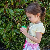 Mini Bug Spotter Kit