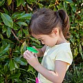 Mini Bug Spotter Kit