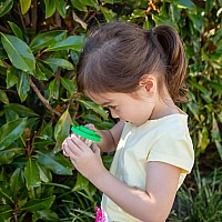 Mini Bug Spotter Kit