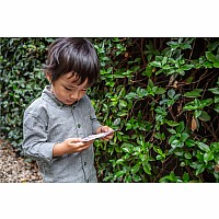 Mini Bug Spotter Kit