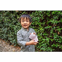 Mini Bug Spotter Kit