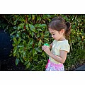 Mini Bug Spotter Kit