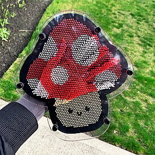 Pin -N- Play - Mushroom