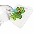 Dissect-It Frog Lab Synthetic Dissection Kit for Ages 6+