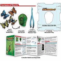 Dissect-It Discover-It Butterfly Chrysalis