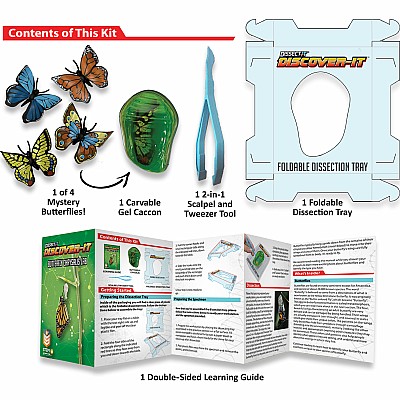 Dissect-It Discover-It Butterfly Chrysalis