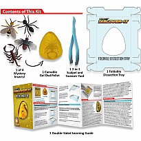 Dissect-It Discover-It Ancient Amber Lab