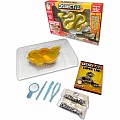 Dissect-It Rattlesnake Super Lab Dissection Kit for Ages 6+