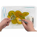 Dissect-It Rattlesnake Super Lab Dissection Kit for Ages 6+