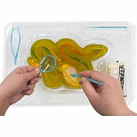 Dissect-It Rattlesnake Super Lab Dissection Kit for Ages 6+