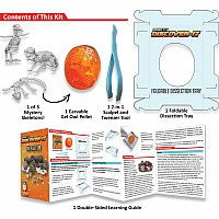 Dissect-It Discover-It Owl Pellet Lab