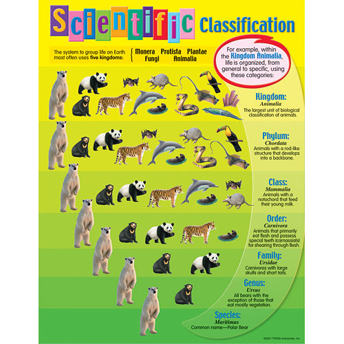 Biological classification for kids