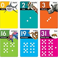 Animals Count 0-31 Learning Set