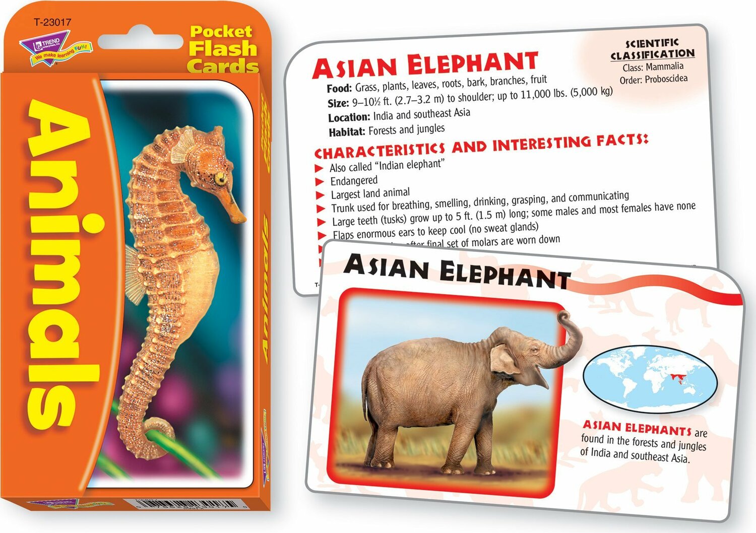 Animals Pocket Flash Cards
