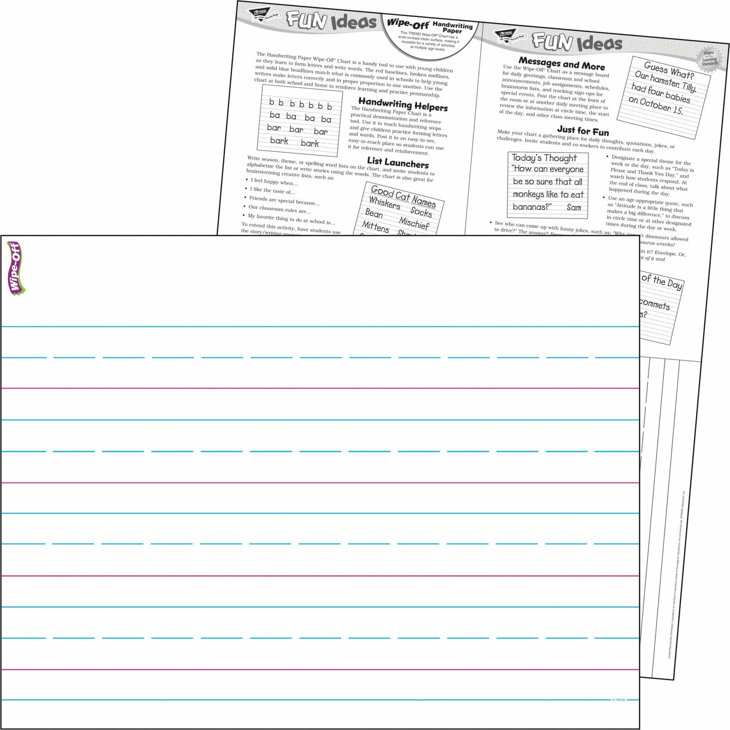 Handwriting Paper Wipe-off Chart, 17 X 22 from Trend Enterprises - School  Crossing