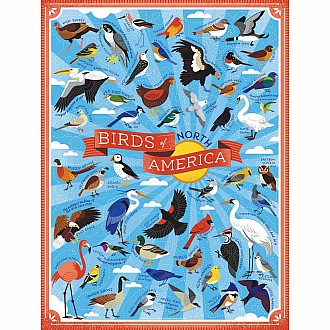 Birds Of North America-500 Piece