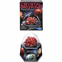 Crystal Growing Assortment B (sold individually)