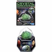Crystal Growing Assortment B (sold individually)