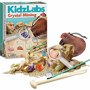 Kidzlabs - Crystal Mining