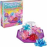 Crystal Growing - Magical Unicorn Crystal Terrarium - Us