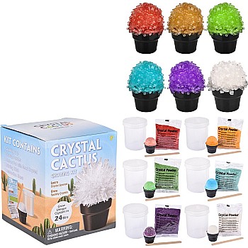 Edu-Stem Growing Crystal Cactus Kit