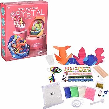 Edu-Stem Growing Crystal Science Kit