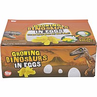 3" Growing Dinosaur Egg