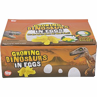 3" Growing Dinosaur Egg