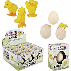 Small Hatch and Grow Chick Egg (assortment - sold individually)