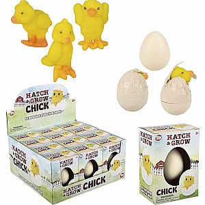 Small Hatch and Grow Chick Egg (assortment - sold individually)