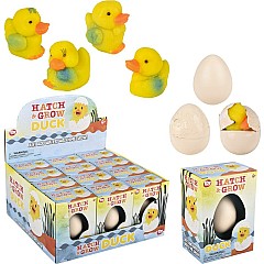 Small Hatch and Grow Duck Egg (assortment - sold individually)
