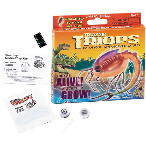 TRIASSIC TRIOPS - Racing Triops Kit, Contains Eggs, Food, Instructions and  Helpful Hints to Hatch and Grow Your Own Speedy Prehistoric Creatures, Fun  Educational Toy for Kids 