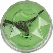 Dinosaur Fossil Putty (24)