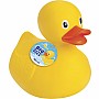 Big Bath Duck (6)
