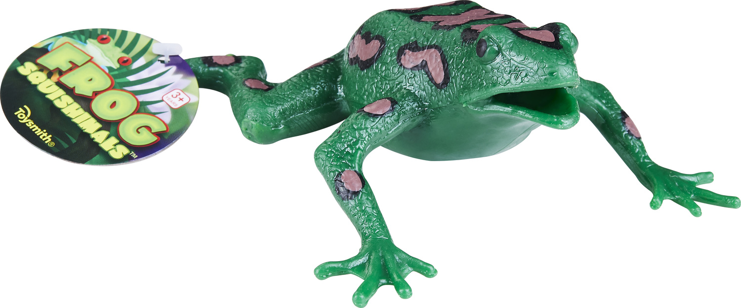 Calico Toy Shoppe - Frog Squishimals from Toysmith
