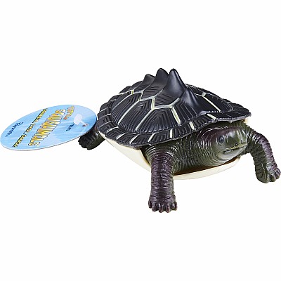 Turtle Squishimals(18)