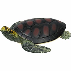 Turtle Squishimals (Assorted)